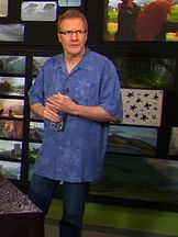 foto von Steve Pilcher