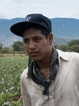 foto von Mateo Bautista Matías