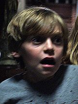 foto von Dash Williams