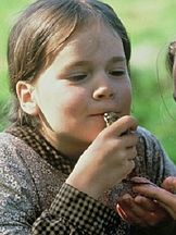 foto von Linda Bergström