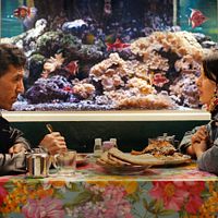 Bilder Shahrbanoo Sadat