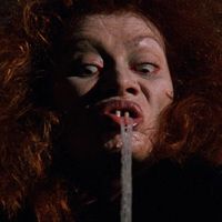 Bilder Paola Rinaldi