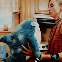 Bilder Danielle Donahue