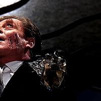 Bilder Bryant Haliday