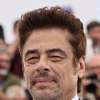 Bilder Benicio Del Toro