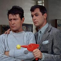 Bilder Larry Storch