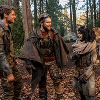 Bilder Sean Ryan Fox