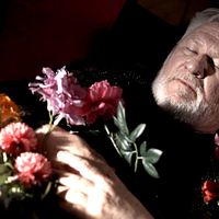 Bilder Armin Dallapiccola