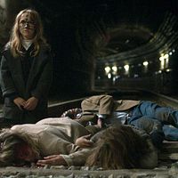 Bilder Valeria Sorolla