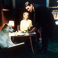 Bilder Markku Peltola