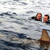 Bilder Daniel Travis