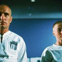 Bilder Maggie McOmie