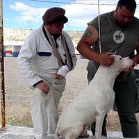 Bilder Walter Donado