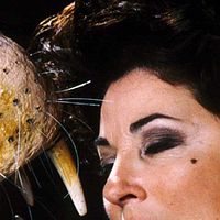 Bilder Elisabeth Margoni