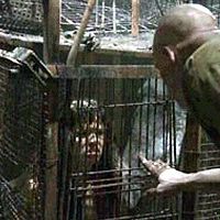 Bilder Samantha Noble