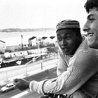 Bilder Fernando Alves Pinto