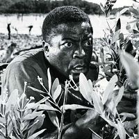 Bilder John Kitzmiller