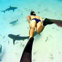 Bilder Rob Stewart (II)