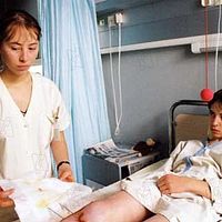 Bilder Steven Pinheiro de Almeida