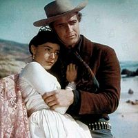 Bilder Pina Pellicer