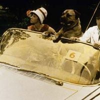 Bilder Colette Brosset