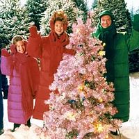 Bilder Jessica Lundy