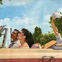 Bilder Anthony Steel