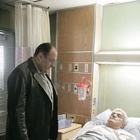 Bilder Frank Vincent