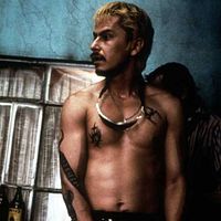 Bilder Gustavo Muñoz