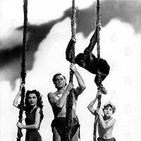 Bilder Johnny Weissmuller