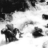 Bilder Rachel Devirys