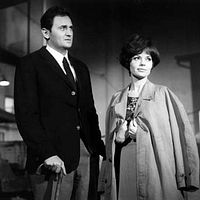 Bilder Pascale Petit