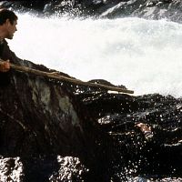 Bilder Charles Grodin