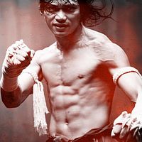 Bilder Tony Jaa