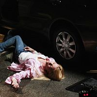 Bilder Nicollette Sheridan