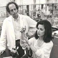 Bilder Claudia Wells