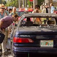 Bilder Dana L. Wilson