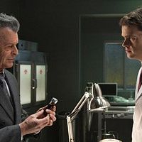 Bilder Ryan McDonald