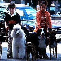 Bilder Brittany Moldowan