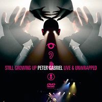 Bilder Peter Gabriel