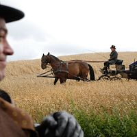 Bilder Fedja Van Huet