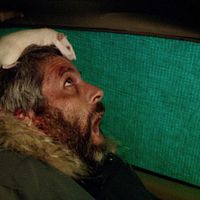 Bilder Dirk Stermann