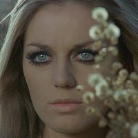 Bilder Simonetta Vitelli