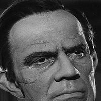 Bilder Raymond Massey