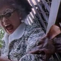 Bilder Elizabeth Moody