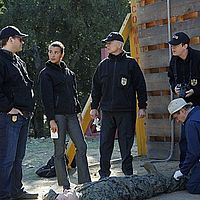 Bilder David McCallum