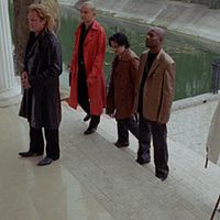 Bilder Tony D'Amario