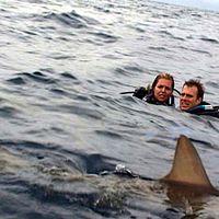 Bilder Blanchard Ryan