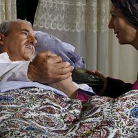 Bilder Adel Abou Raya