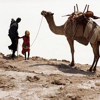 Bilder Asma Nouman Aden